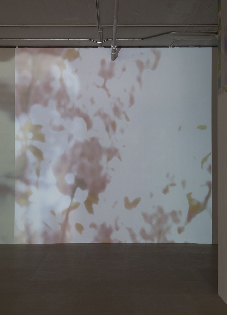 Hilary Lloyd Blossom, 2017 Single-channel video, looped