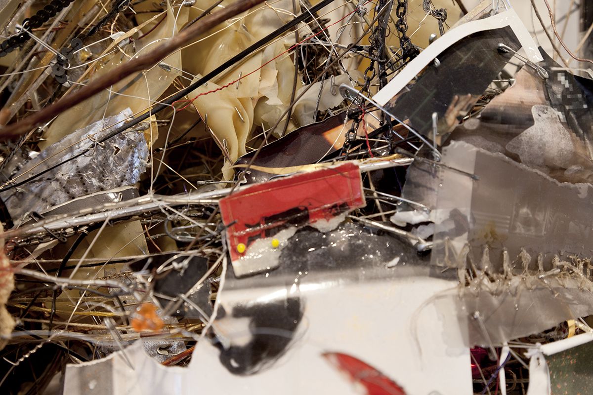 Robert Bittenbender Hoarse Tangle , 2015 (detail)