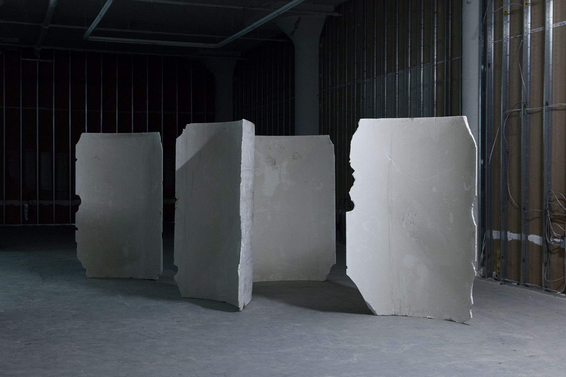 Lutz Bacher, Installation view, Snow, Greene Naftali, New York, 2014