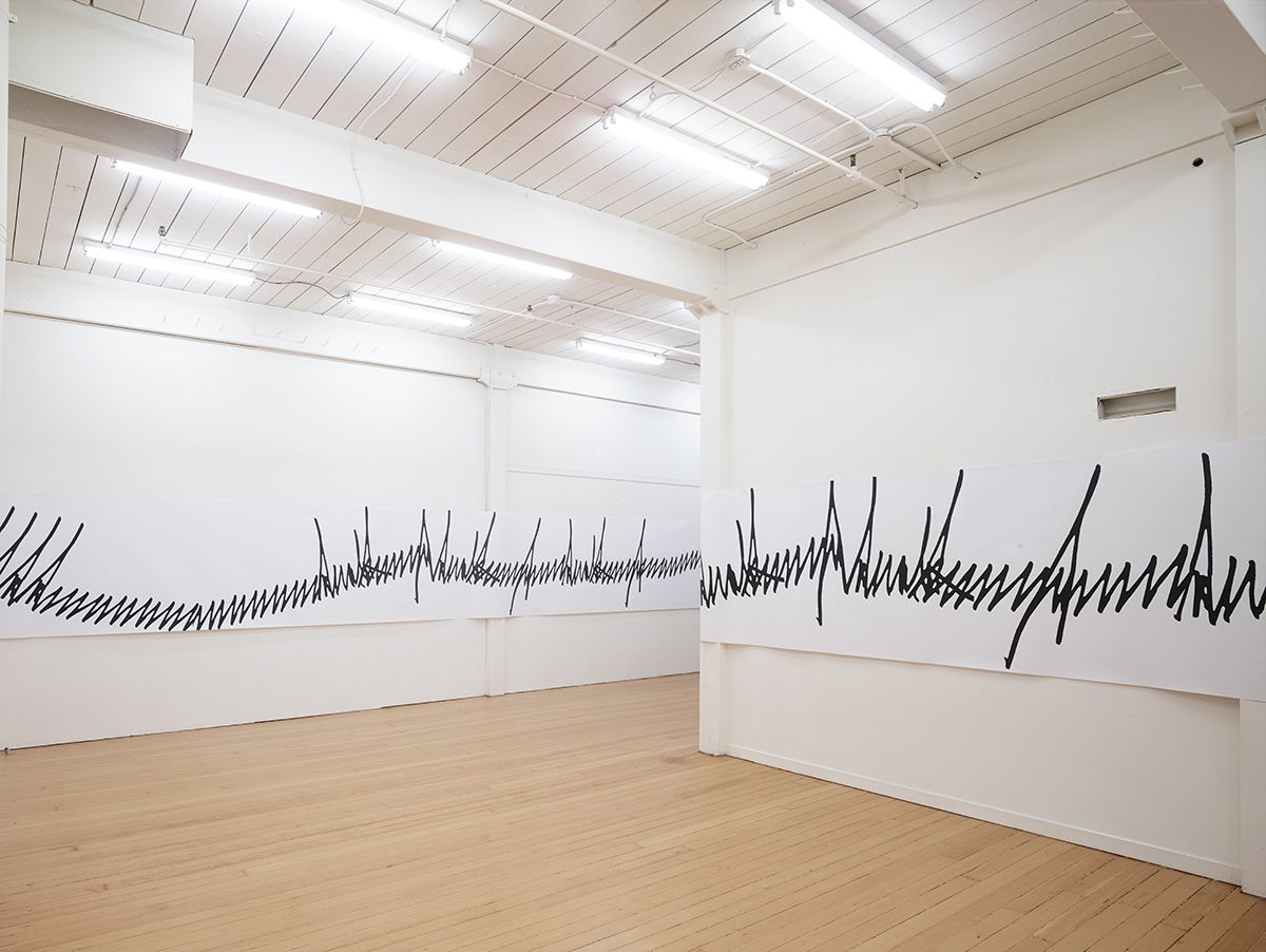 Lutz Bacher, Installation view, 3320 18th St., San Francisco, 2017