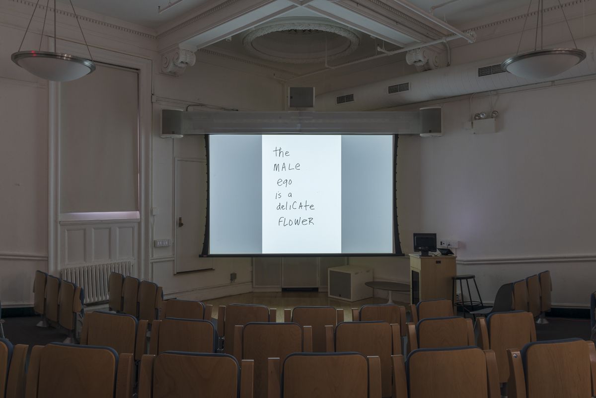 Lutz Bacher, Installation View, The Long March, 80WSE, New York, 2018 