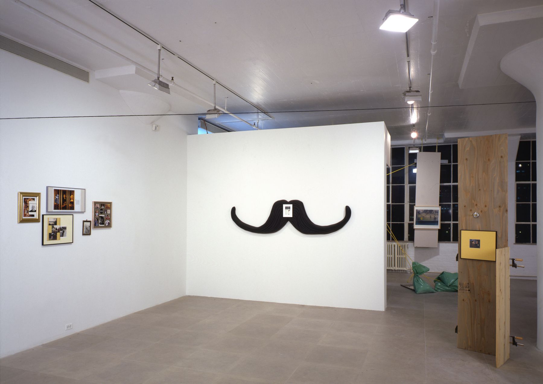 Installation view, Rachel Harrison, Greene Naftali, New York, 1997