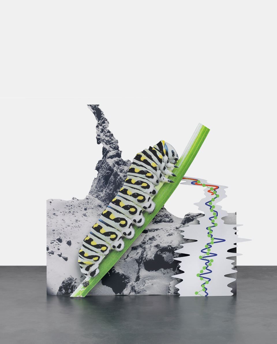 Katja Novitskova 67P Potential (Caterpillar), 2015 Digital print on three layers of aluminum, cutout display 60 1/4 x 61 x 18 7/8 inches (153 x 154.9 x 47.9 cm)