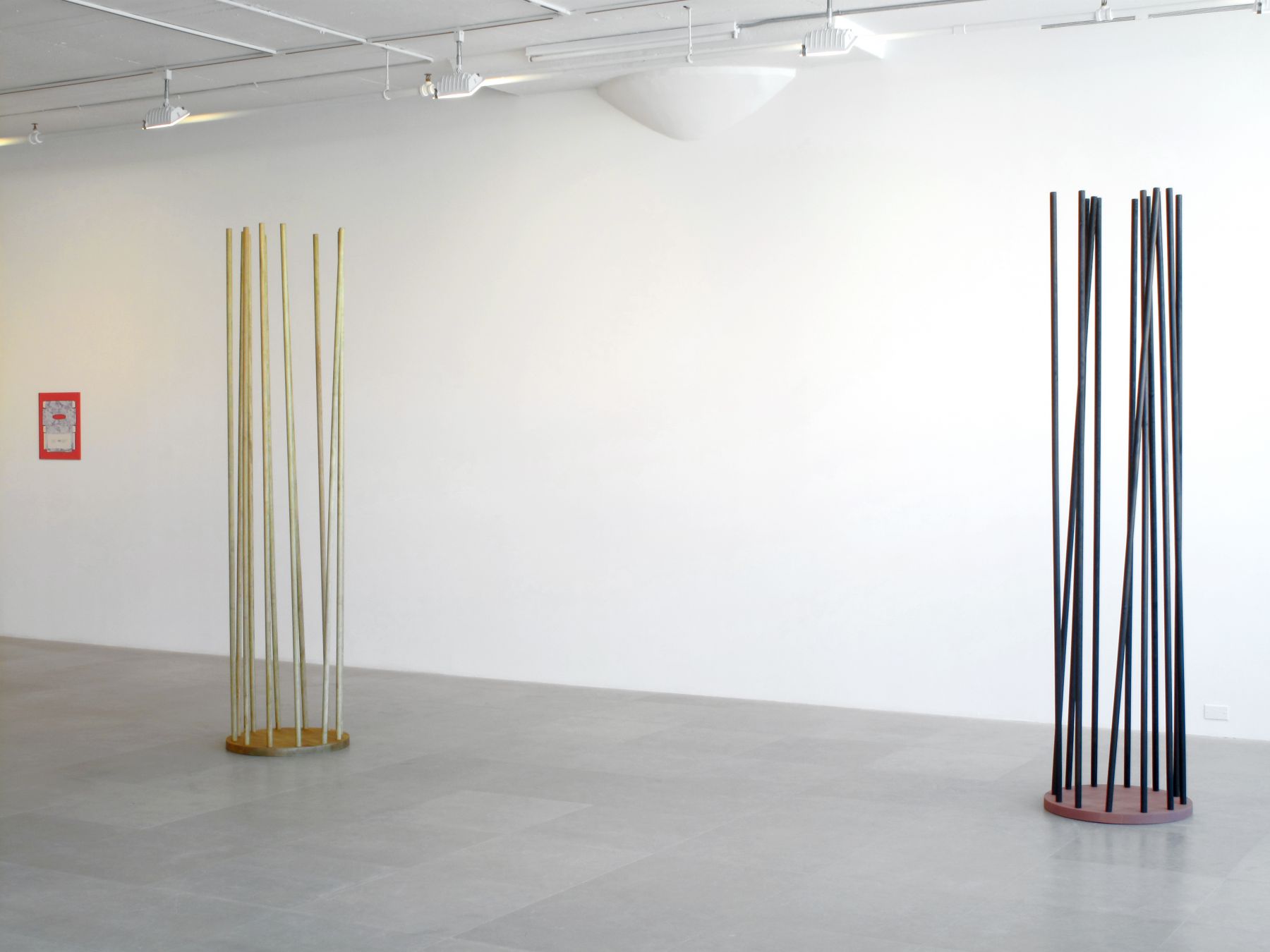 Installation view, Constitution, Greene Naftali, New York, 2009