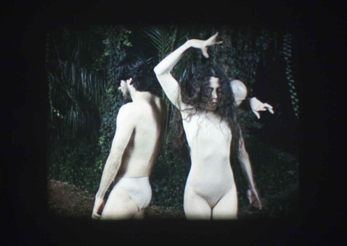 Reptile brain or reptile body, it's your animal, 2012 (still)