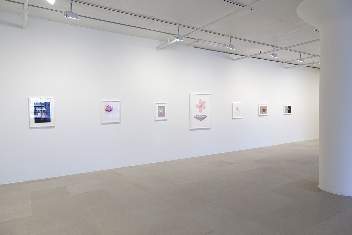 Mayo Thompson, Installation View, 8th Floor, Greene Naftali, New York, 2015