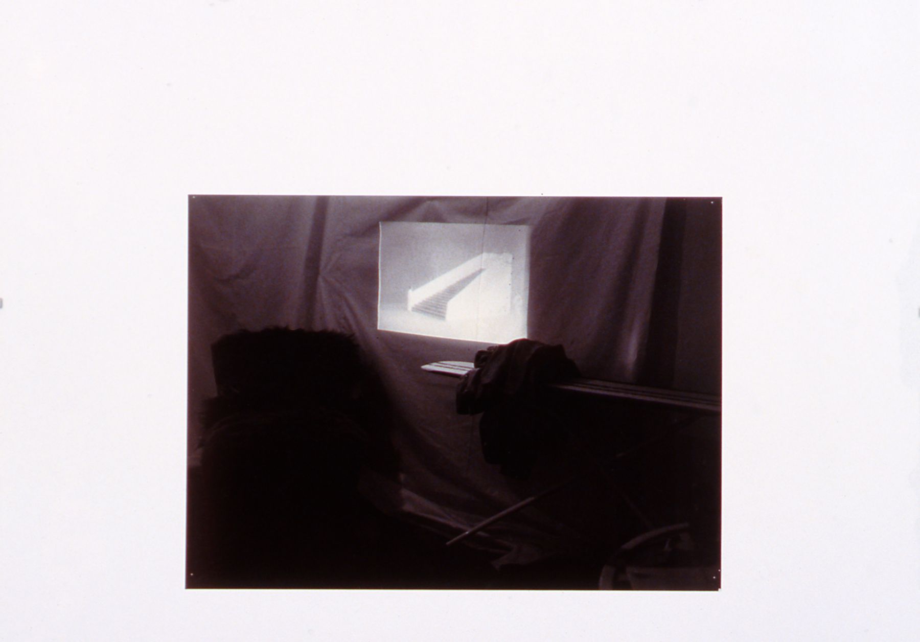 Josef Strau, Nazis for Suburbia, 1999, Photograph/mixed media, glass frame, 11 3/4 x 19 3/4 inches