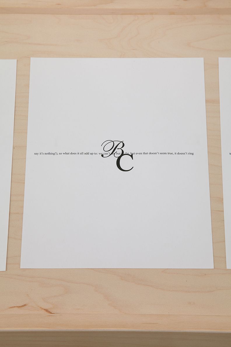 The Complete Poem, 2009, wood, plexi, and printed pages, from “A Billion and Change”, 33 1/4 x 96 x 17 1/4 inches