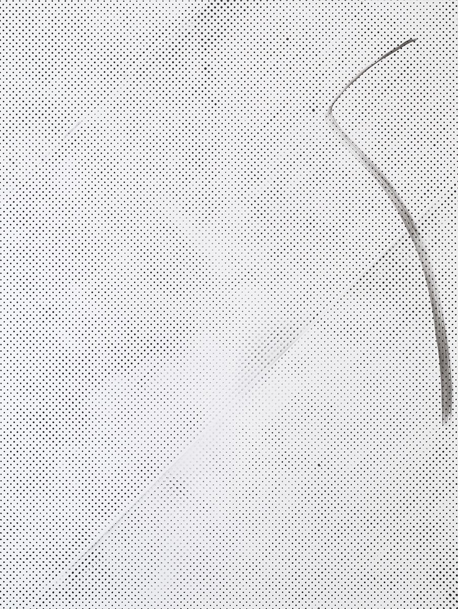 Michael Krebber MK.285, 2015 Lacquer on canvas 78 3/4 x 59 1/8 inches (200 x 150.2 cm)