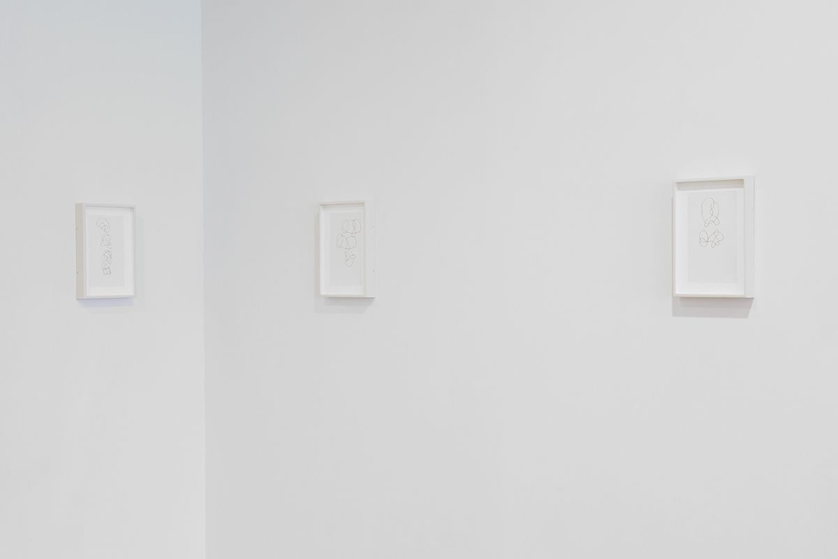 Knots, 2010
