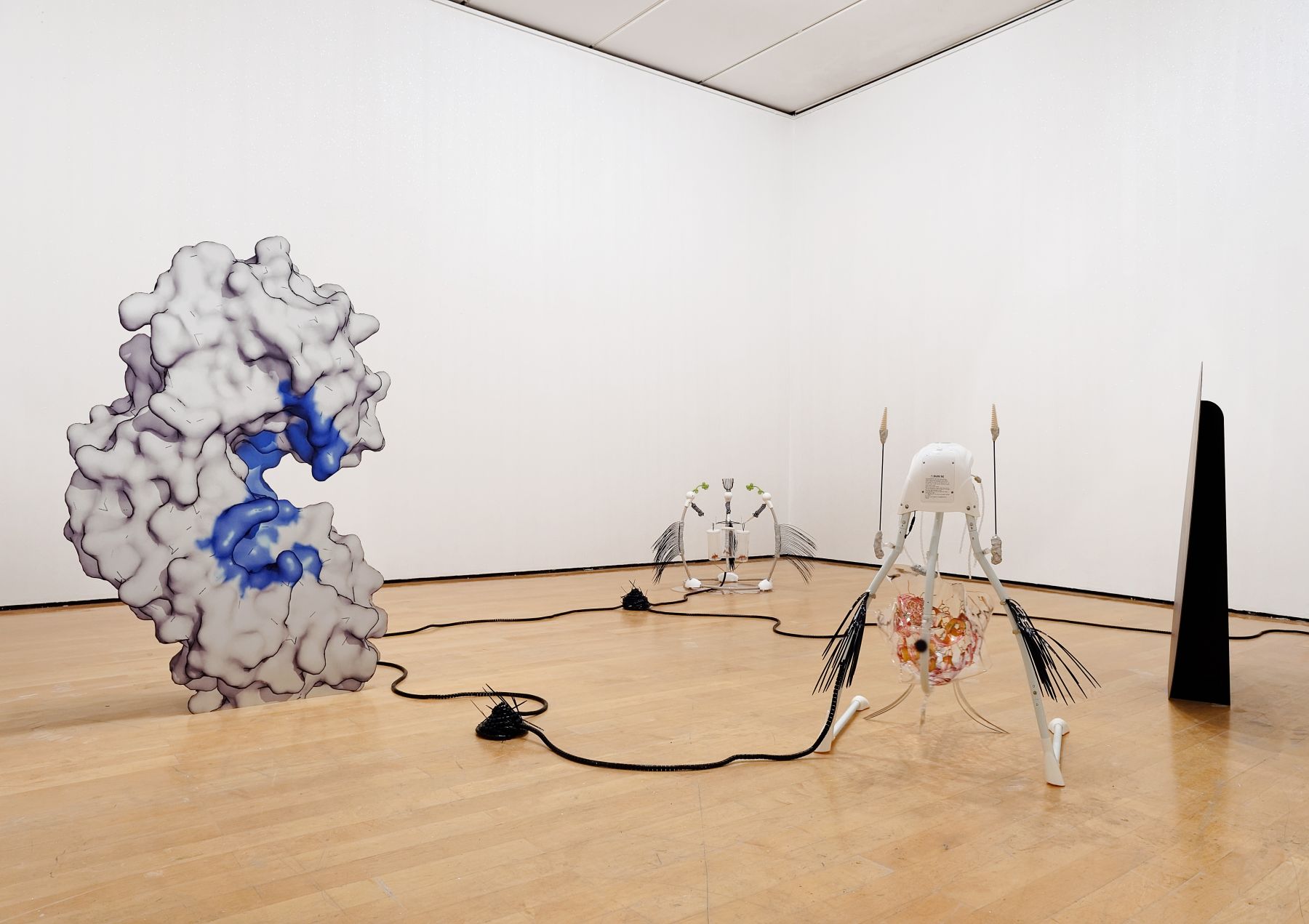 Katja Novitskova, Installation view, 13th Biennale de Lyon: La vie modern, Le Museé d'art contemporain de Lyon,, Lyon, France, 2015