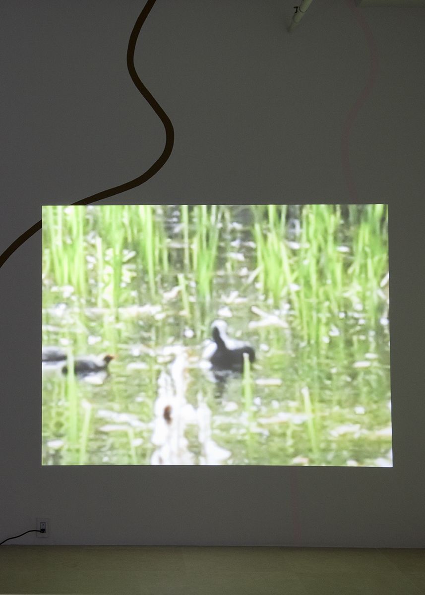 Hilary Lloyd Coots, 2017 Single-channel video, looped