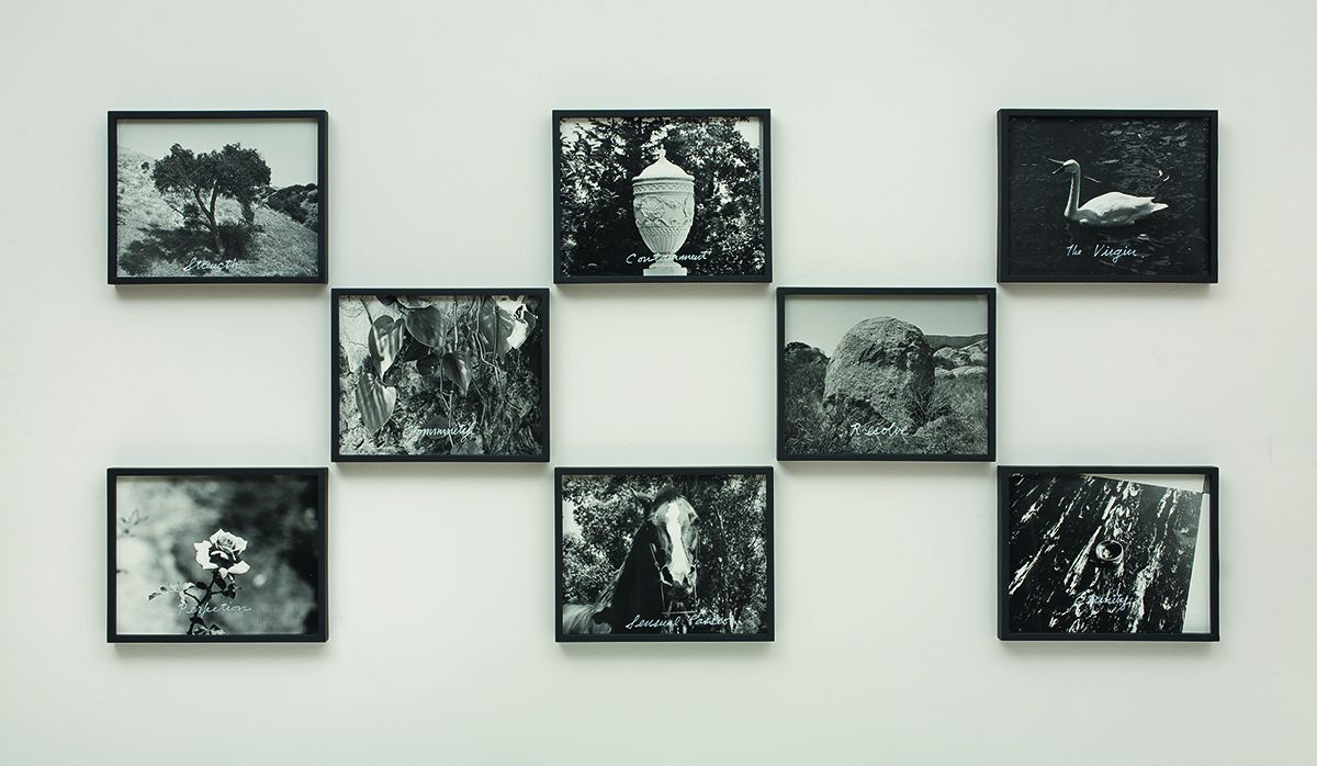 William Leavitt, Symbolic Objects, 1974/2008, Black & white photographs with acrylic ink, Overall: 33 3/4 x 71 7/8 inches (85.7 x 182.6 cm)