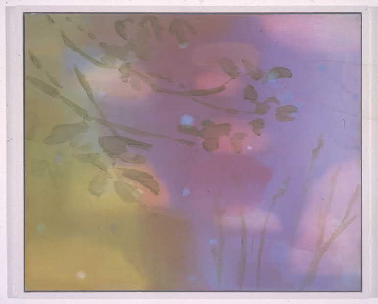 S.P.F. I, 2003, Oil on canvas, 20 x 24 inches