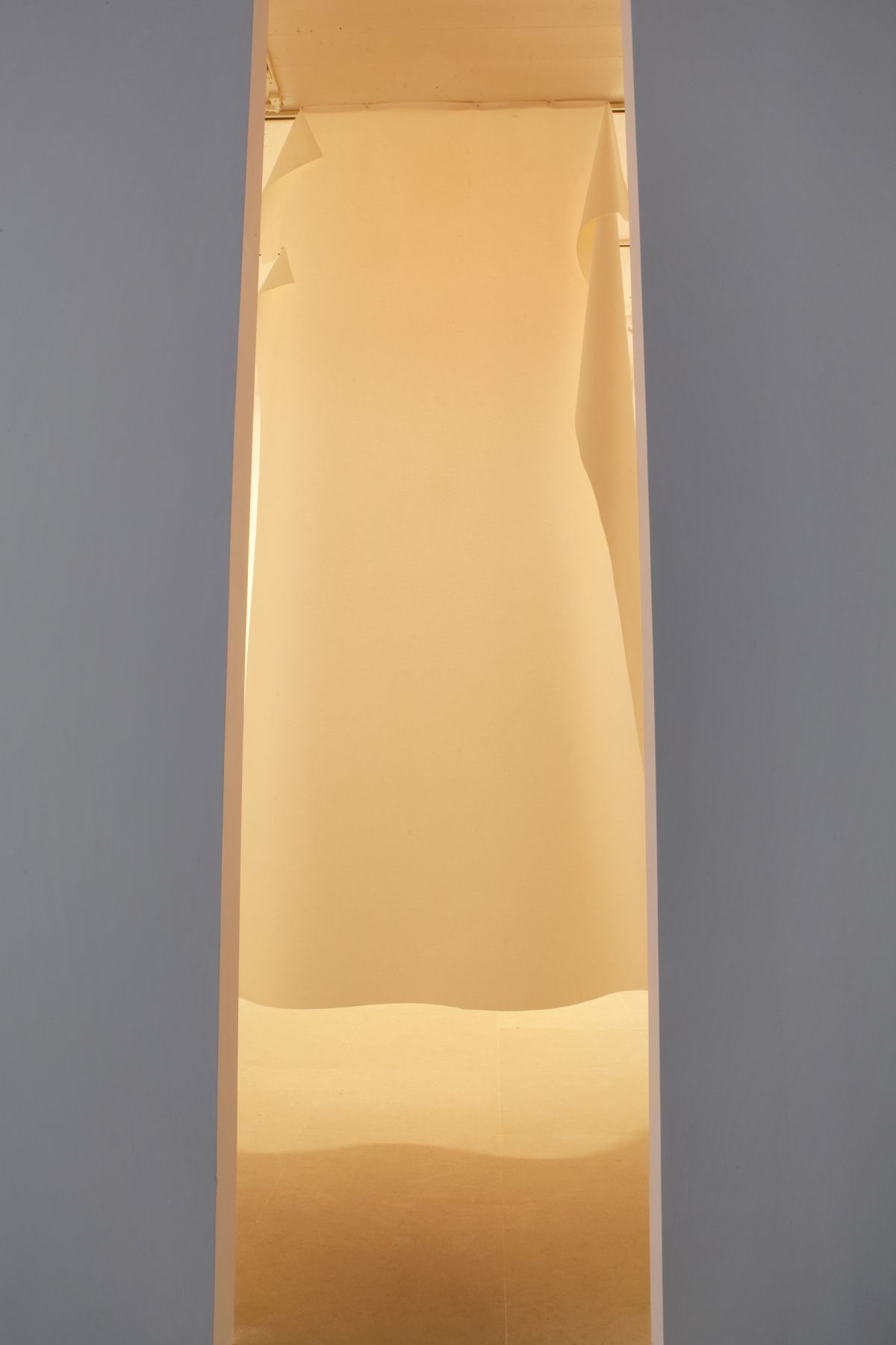 Gedi Sibony, The Brighter Grows the Lantern, 2010, vinyl, nails, and light, dimensions variable