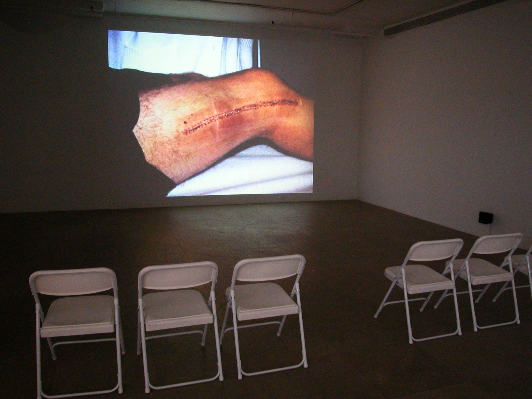 Paul Chan, Tin Drum Trilogy (Screening), Greene Naftali, New York, 2006