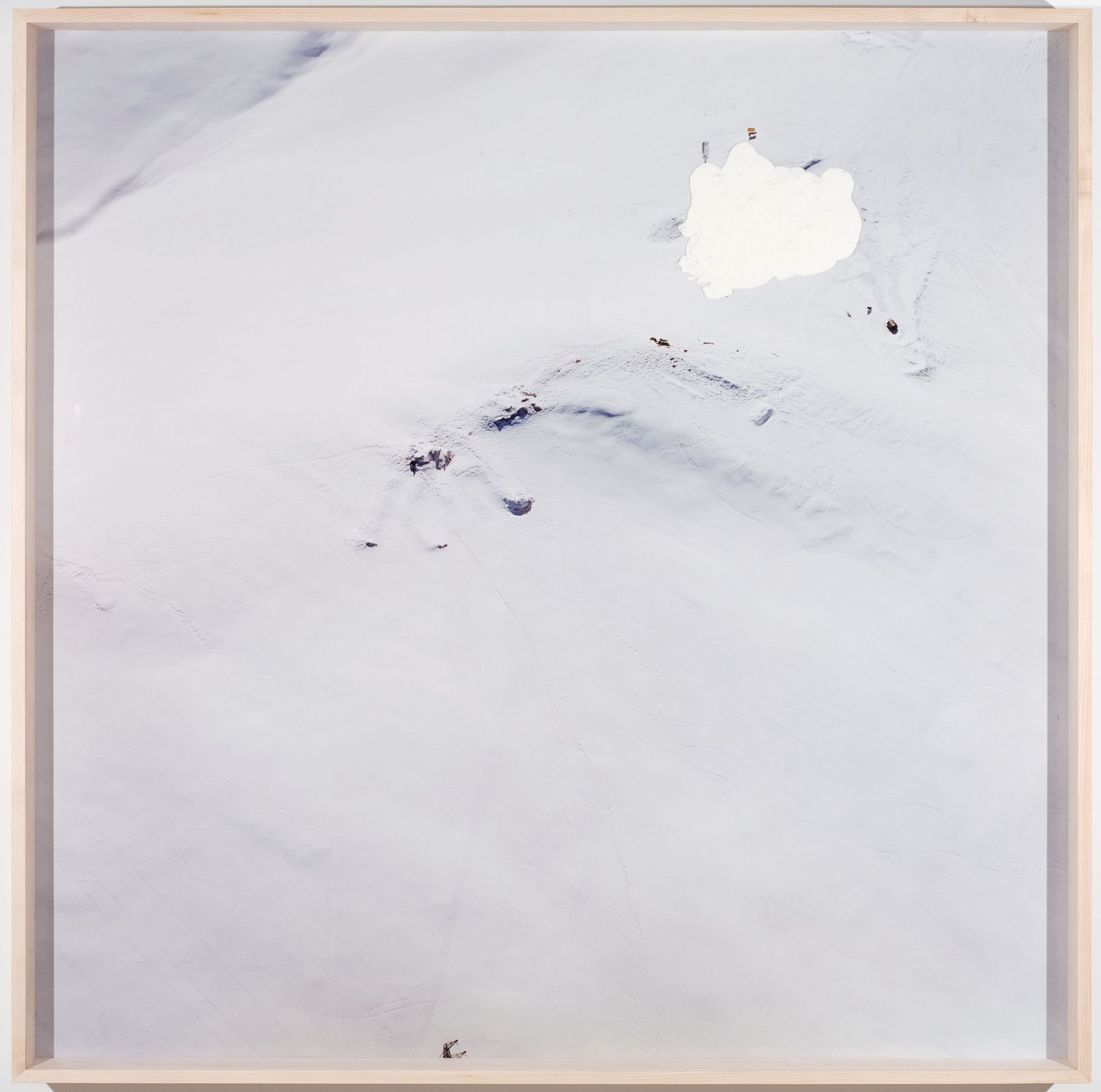 Hase, 2009, c-print with plasticine, 67 x 67 inches