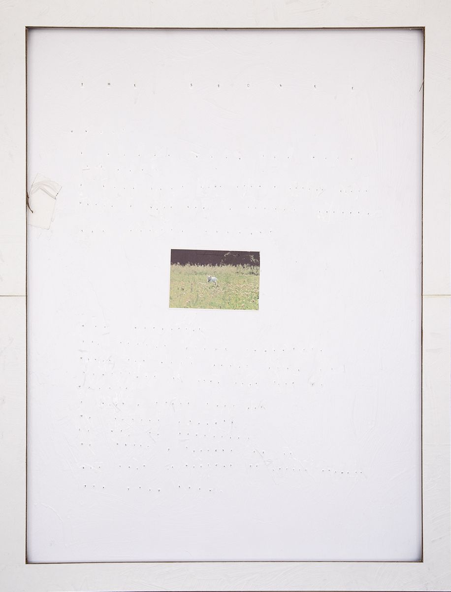 Bradly Kronz The Secret, 2015
