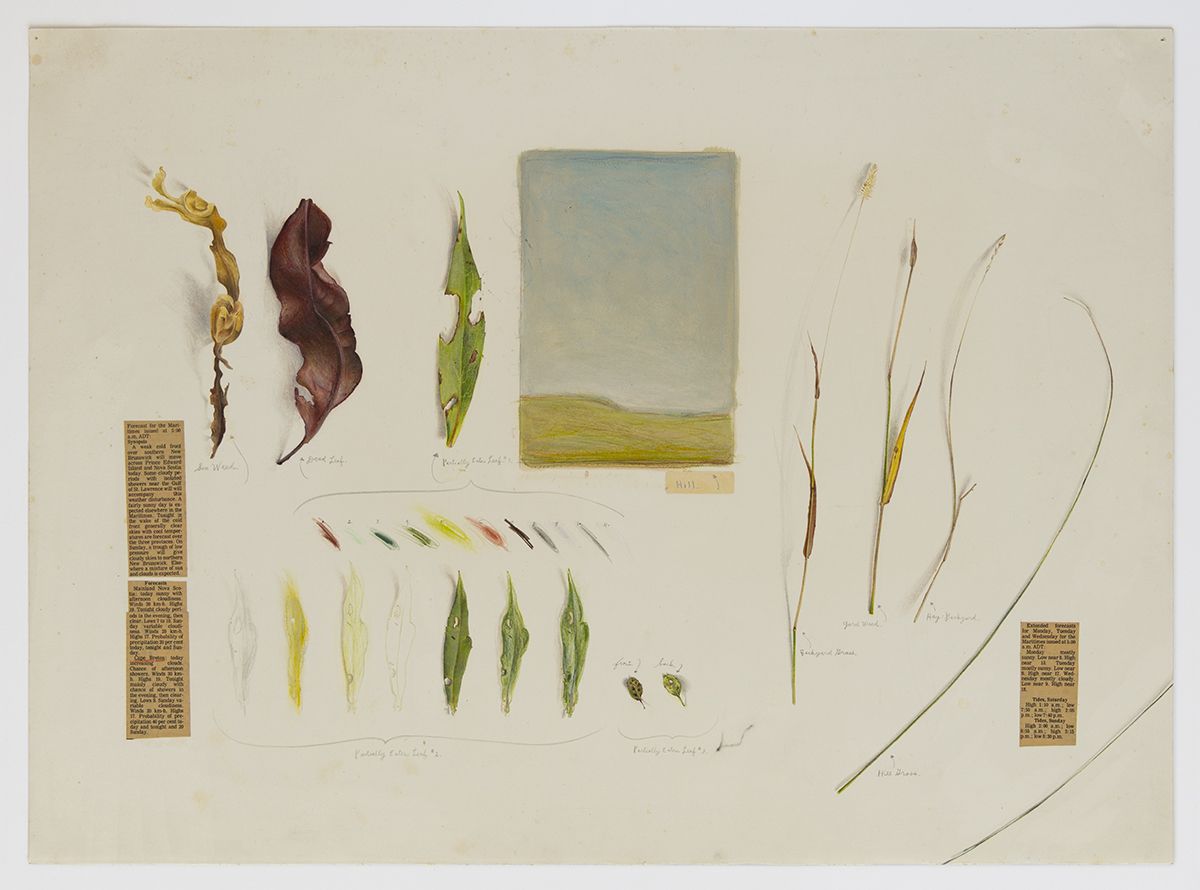 Candy Jernigan, Cape Breton Landscape, n.d., Pencil and collage on paper, Image: 19 x 26 inches (48.3 x 66 cm), Frame: 23 x 29 7/8 x 1 1/2 inches (58.4 x 75.9 x 3.8 cm)