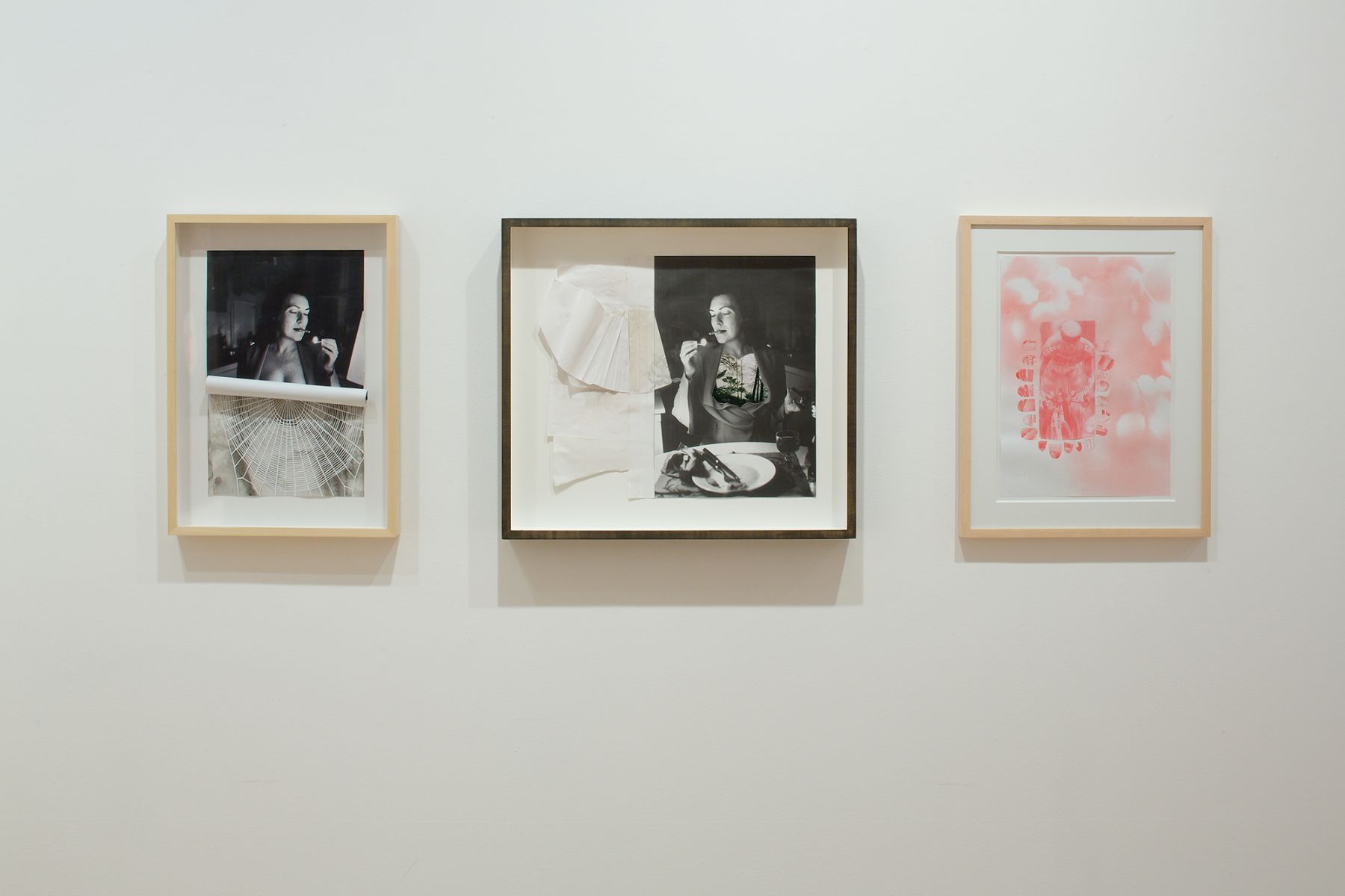 Monika Baer, Installation view, Williams College Museum of Art, Williamstown, MA