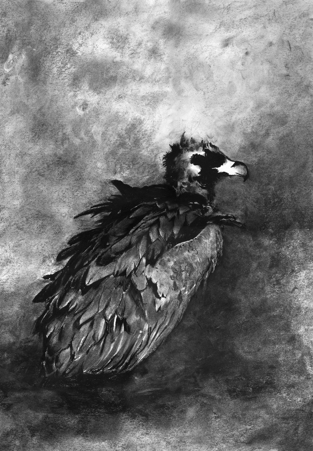 The eagle, the vulture, the black vulture, the red kite, any kind of black kite, any kind of raven, the homed owl, the screech owl, the gull, any kind of hawk, the little owl, the cormorant, the great owl, the white owl, the desert owl, the osprey, the stork, any kind of heron, the hoopoe and the bat -- Leviticus 11:13-19, 2004 (detail), charcoal on paper, 23 1/2 x 18 inches each