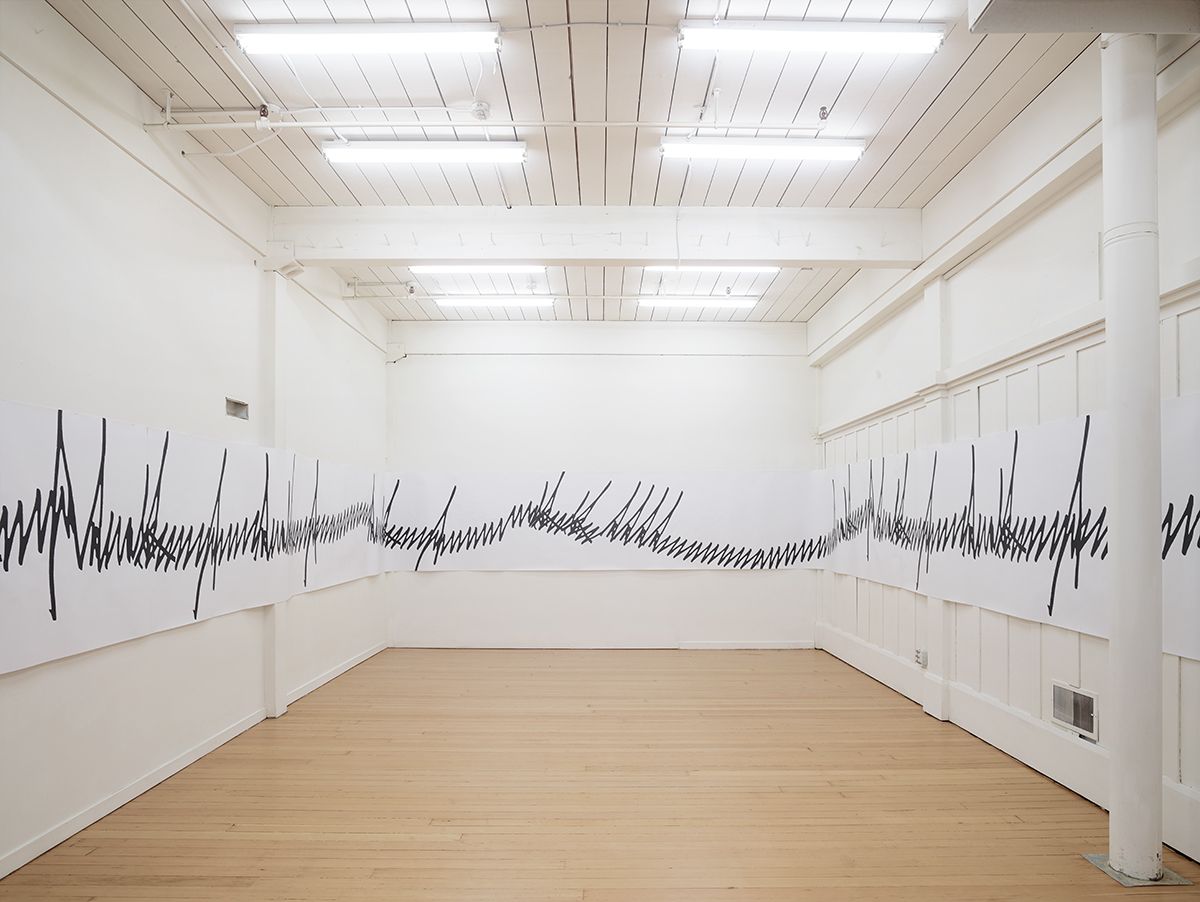 Lutz Bacher, Installation view, 3320 18th St., San Francisco, 2017