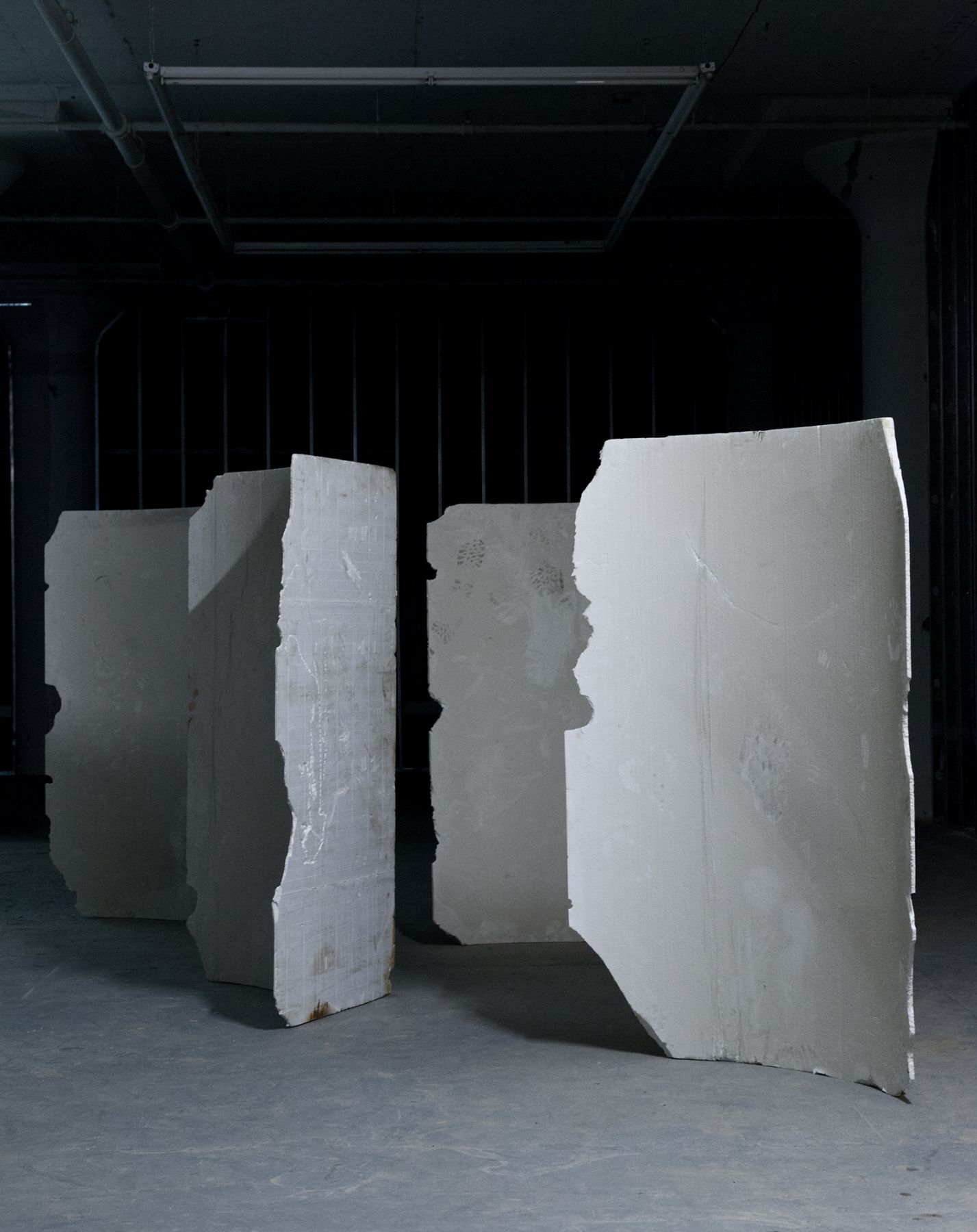 Lutz Bacher, Installation view, Snow, Greene Naftali, New York, 2014