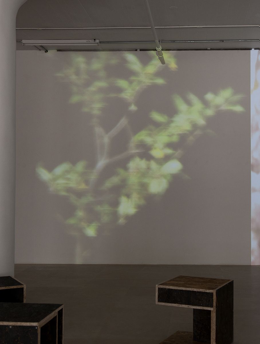 Hilary Lloyd Marta, 2017 Single-channel video, looped