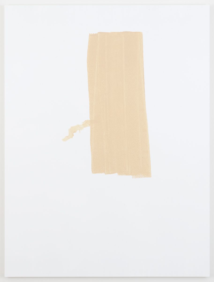 Michael Krebber Herbes de Provence MK.6065, 2018 Acrylic on canvas 78 x 59 inches (198.1 x 149.9 cm)