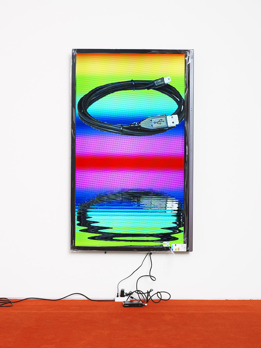 A vertically aligned television monitor displaying a black wrapped USB cord against a rainbow background. The image of the usb cord is reflected horizontally, distorted as if it were reflected on a body of water.