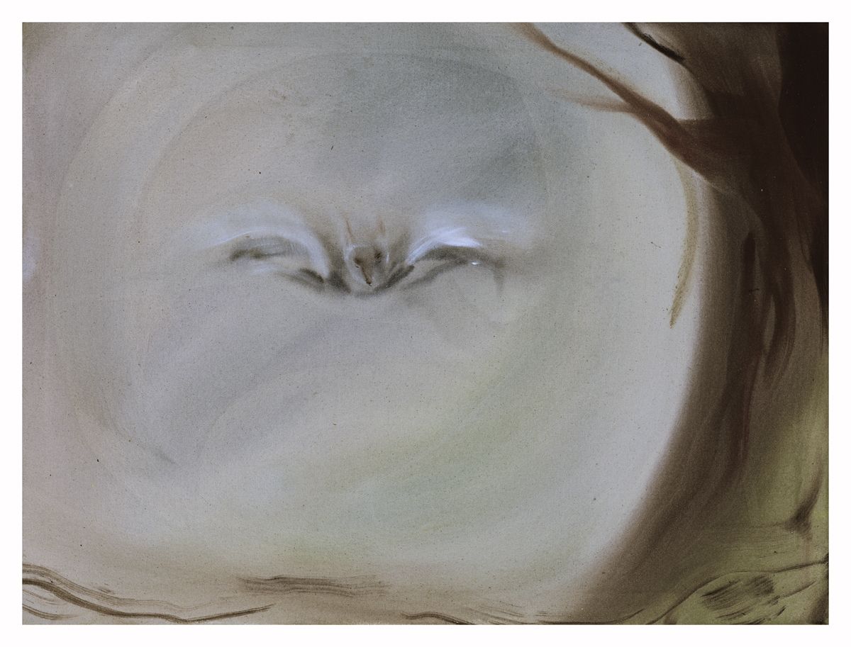 Sophie von Hellermann Owl, 2018 Acrylic on canvas 24 x 32 inches (61 x 81.3 cm)