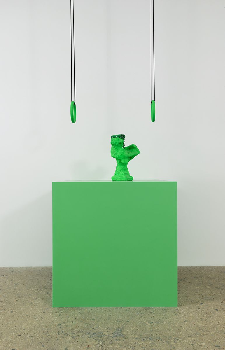 Rachel Harrison Installation view, Prasine, Greene Naftali, New York, 2017