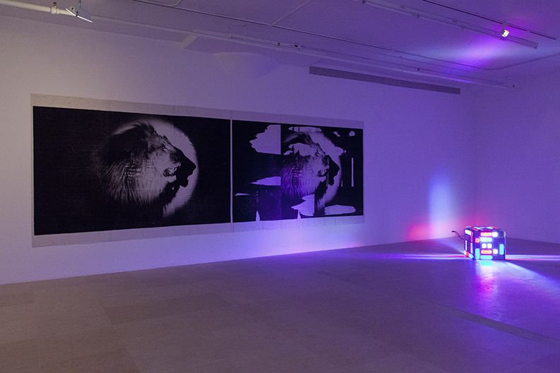 Michael Fullerton, Installation view, Meaning Inc., Greene Naftali, New York, 2014