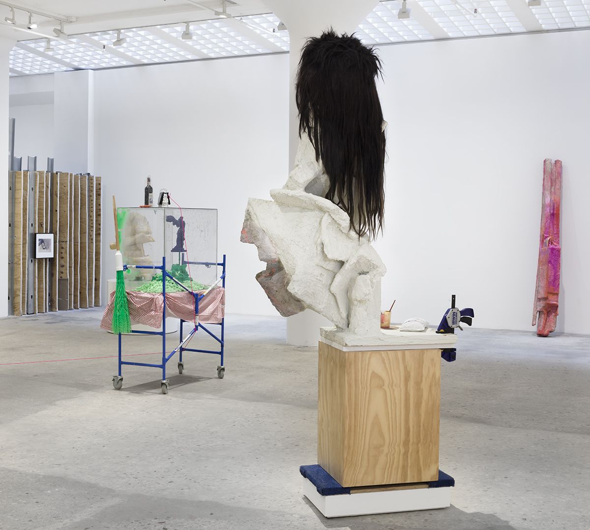 Rachel Harrison Installation view, Prasine, Greene Naftali, New York, 2017