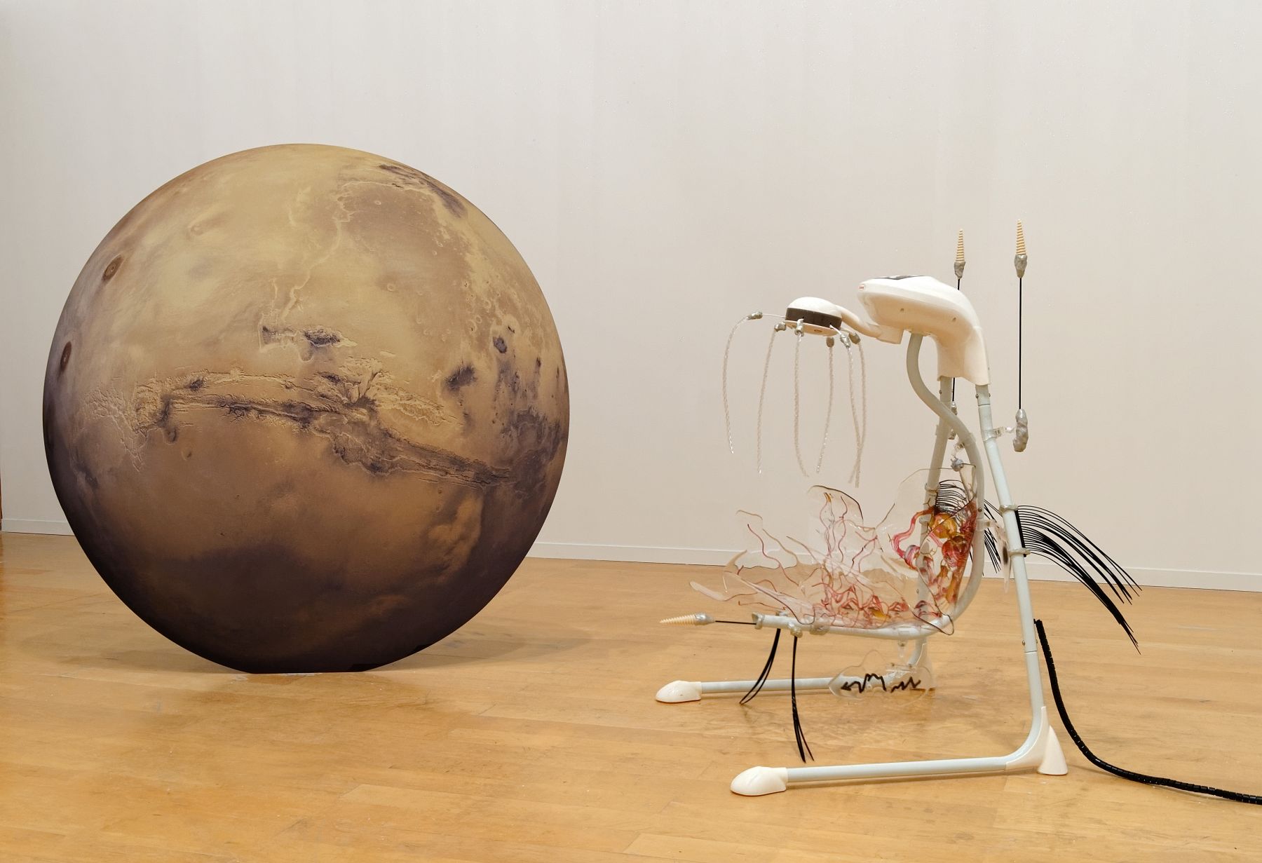 Katja Novitskova, Installation view, 13th Biennale de Lyon: La vie modern, Le Museé d'art contemporain de Lyon,, Lyon, France, 2015