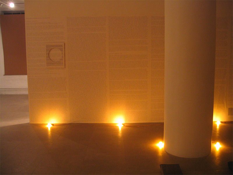 Installation view, Fia Backström, In Memory of HERD INSTINCT 360º, Greene Naftali, New York, 2006