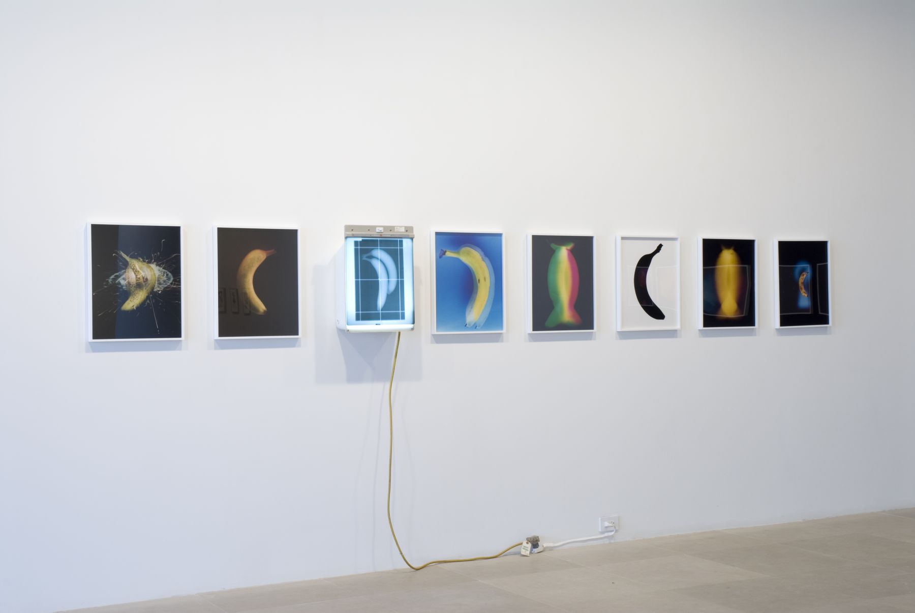 Installation view, Genesis I'm Sorry, Greene Naftali, New York, 2007