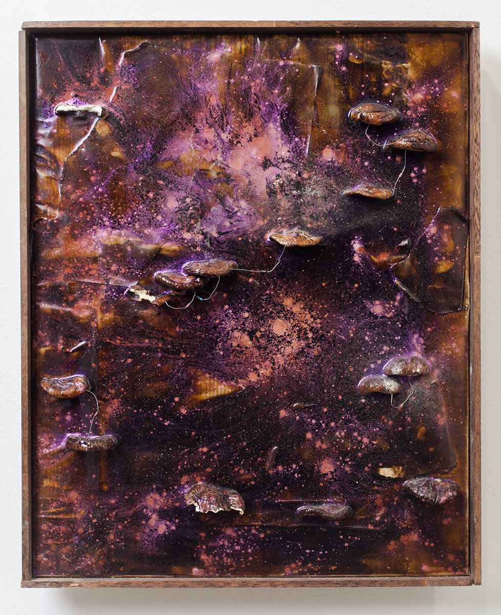 Mathieu Malouf "Others have been critically addressing these same issues via the blog, which paradoxically has the effect of rapidly reproducing online that same ecological structure of affinity networking that it critiques. We think a carefully moderated discussion about this could be pretty interesting." (slaves), 2012 Shitake mushrooms, resistors, wood stain, newspaper, iridescent powder, epoxy resin 20 1/2 x 16 1/2 x 2 inches (52.1 x 41.9 x 5.1 cm)
