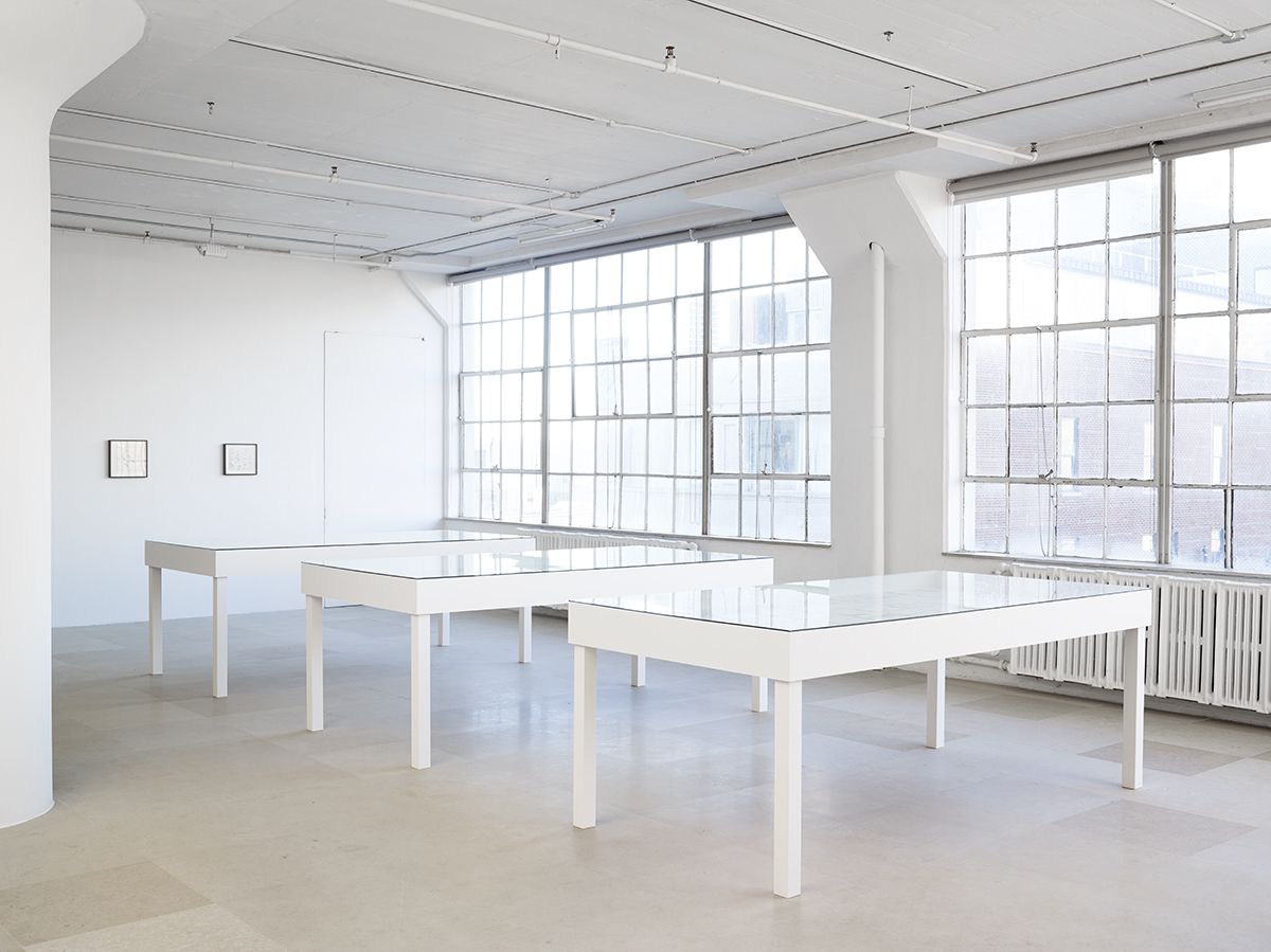 Mayo Thompson, Installation View, 8th Floor, Greene Naftali, New York, 2015