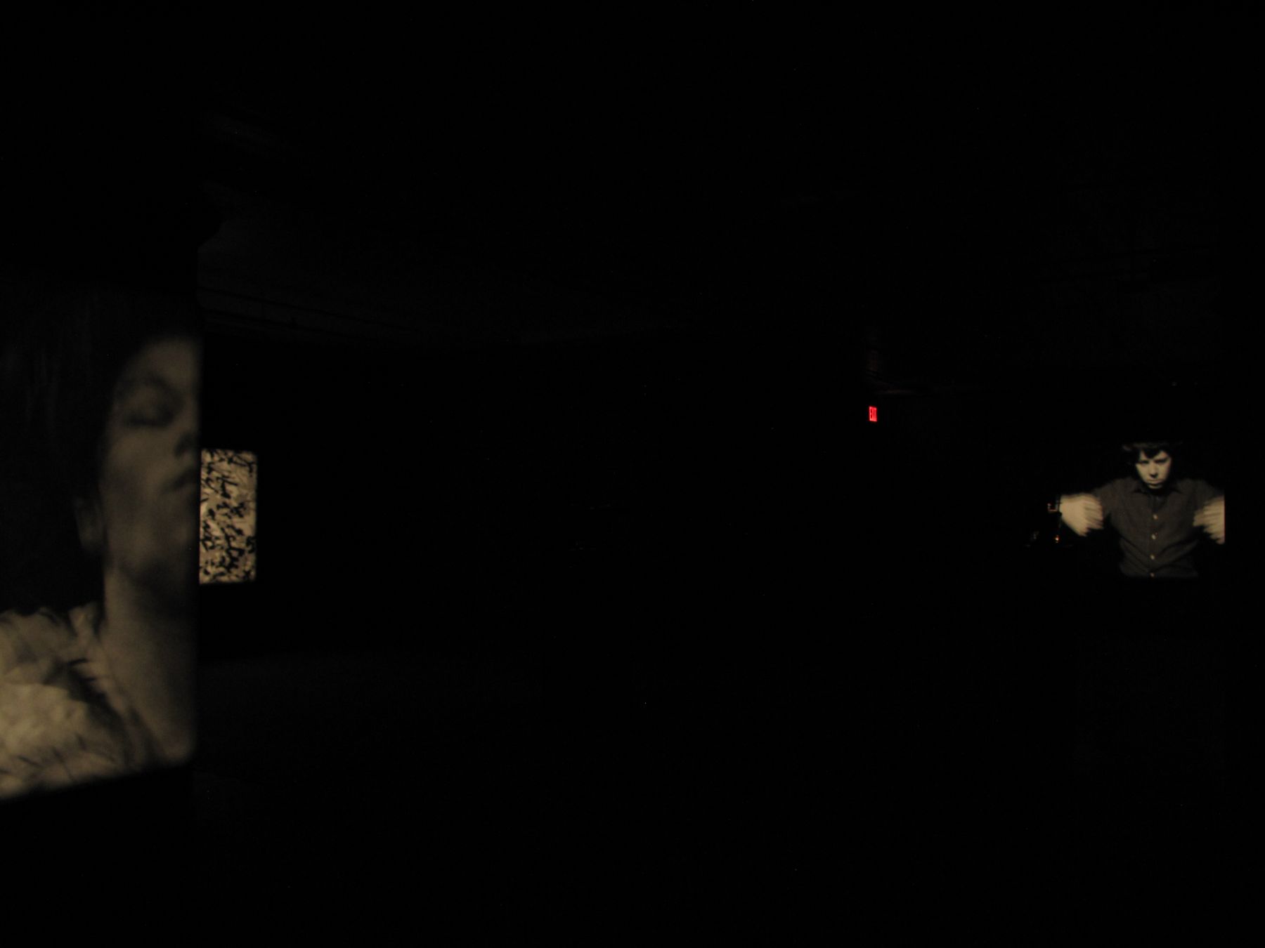 Joachim Koester, Installation view, From the Secret Garden of Sleep, Greene Naftali, New York, 2010