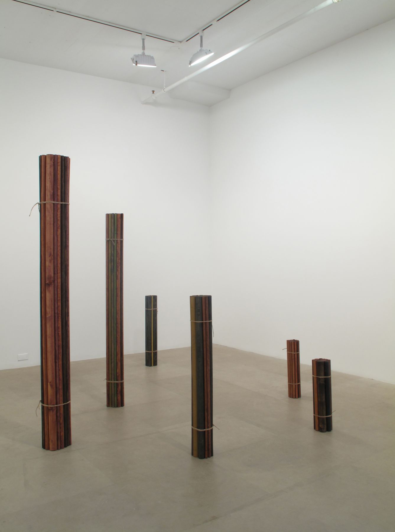 Bündel, 2009, wood, gouache, oil, twine, six parts, 74 7/8 x 107 x 37 inches (approx. overall)