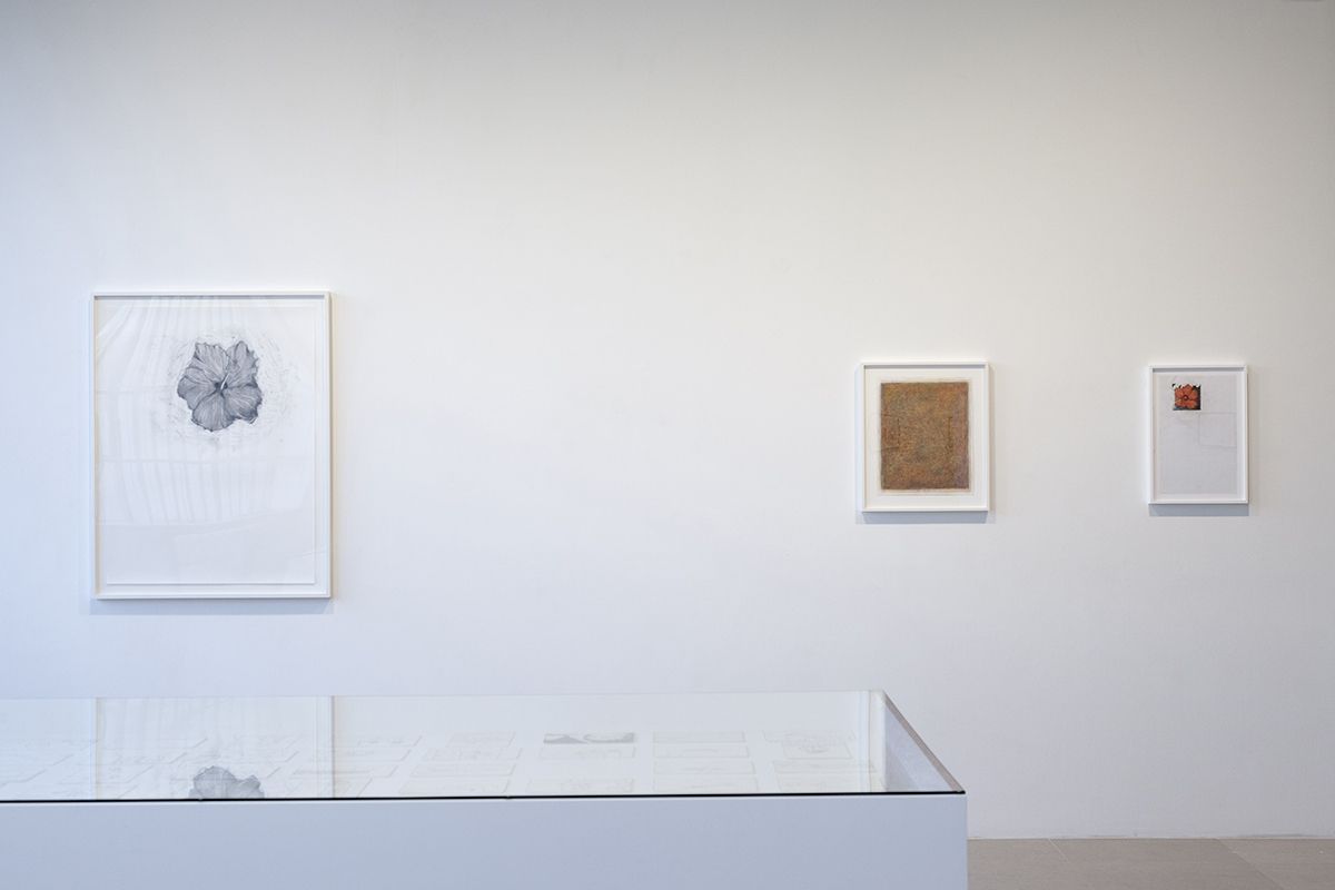 Mayo Thompson, Installation View, 8th Floor, Greene Naftali, New York, 2015