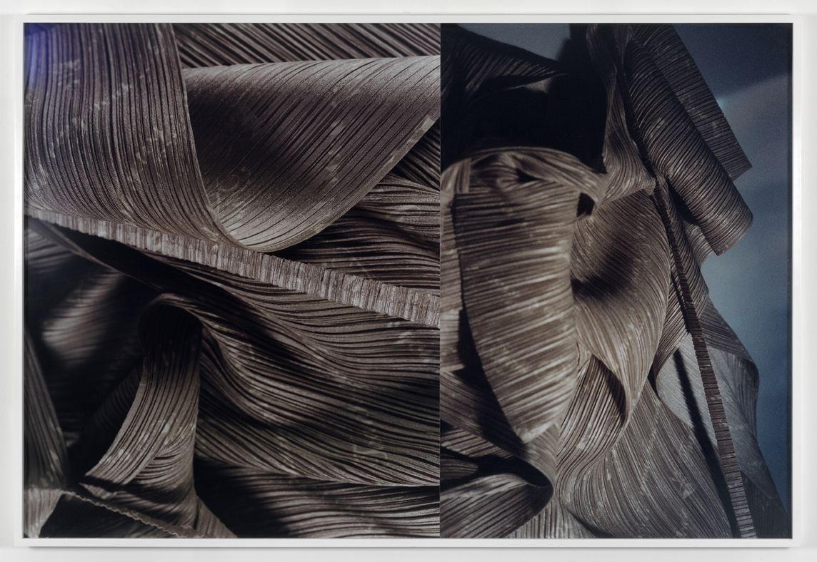 Josephine Pryde Pre-Therapeutic, 2010 Two C-Print photographs mounted on Dibond with frame 58 1/4 x 84 5/8 inches (148 x 215 cm) Framed: 58 3/8 x 85 1/2 x 1 3/4 inches (148 x 217 x 4.5 cm)