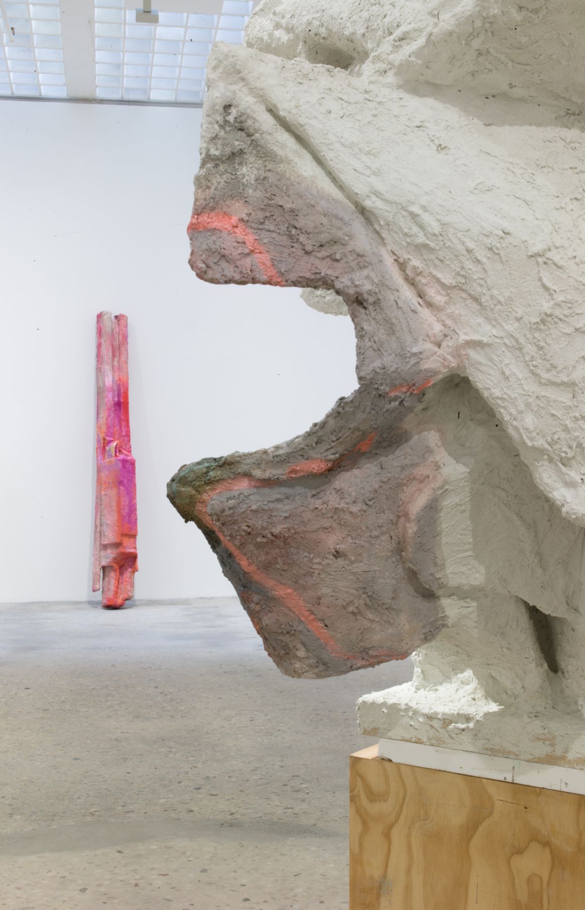 Rachel Harrison, Prasine, Greene Naftali, New York, April 28 - June 17, 2017