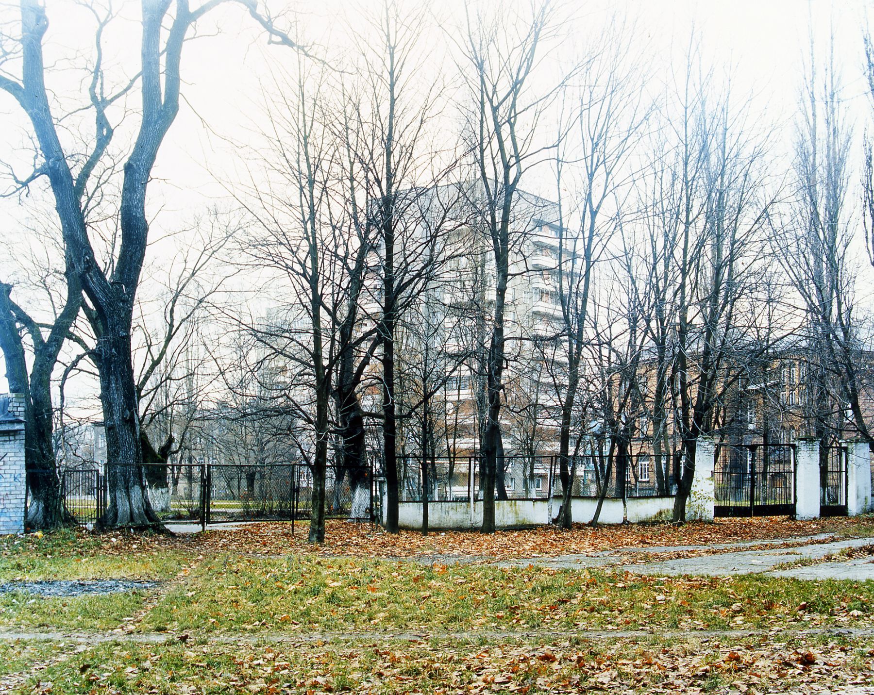 #3, 2003, c-print, 27 ¼ x 32 inches