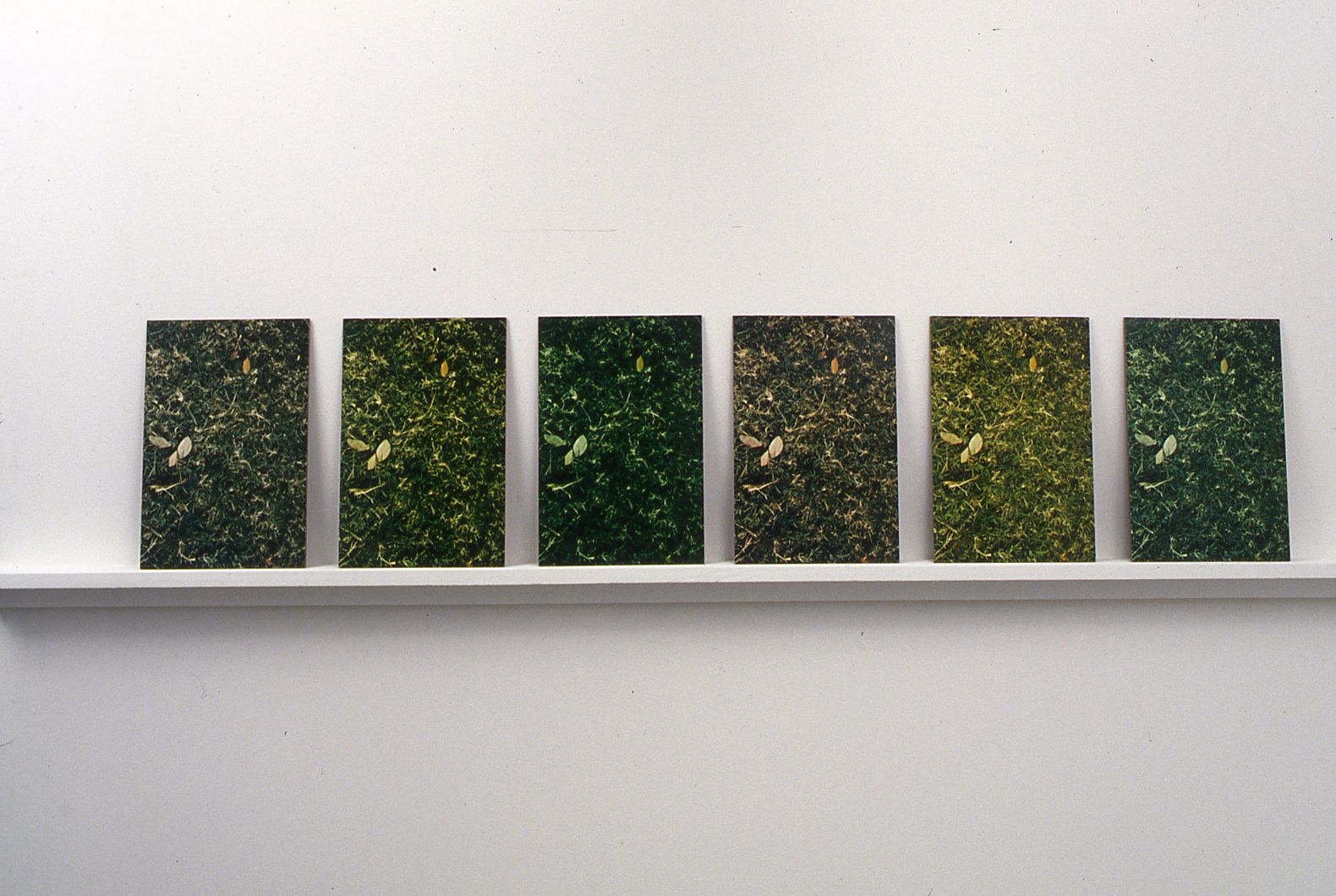 Snake in the Grass, 1997/2009 (detail)