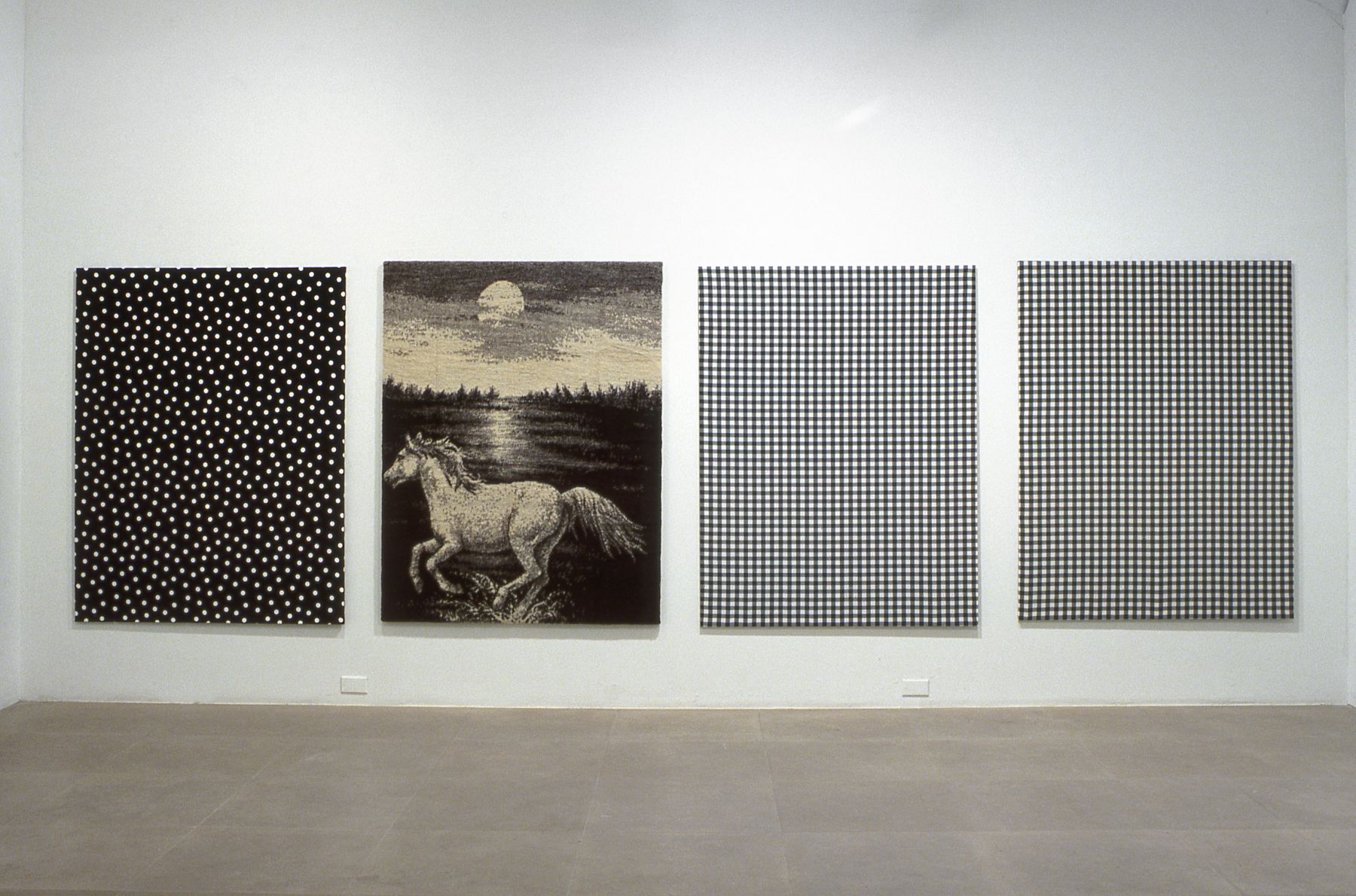 Installation view, Flaggs (Against Nature), Greene Naftali, New York, 2003