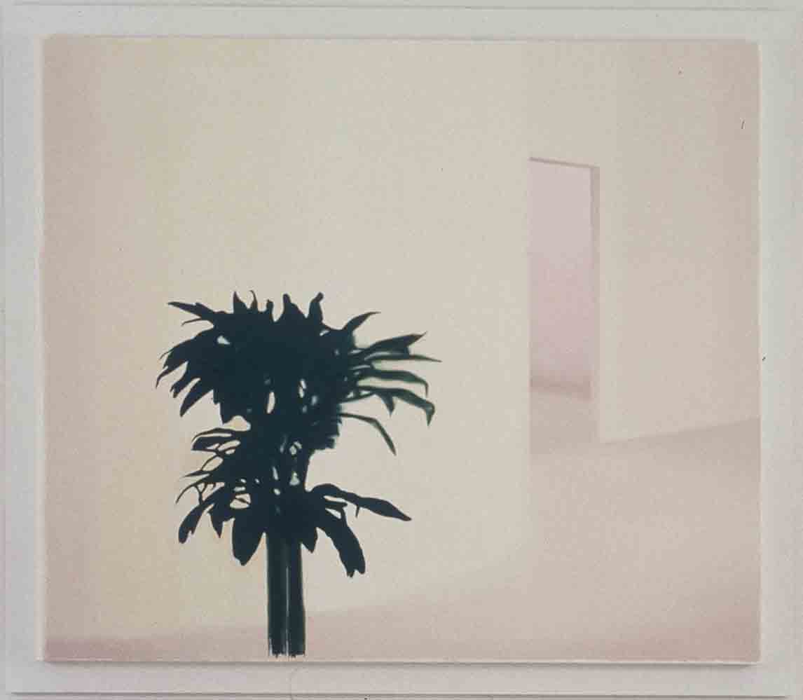 Installation view, MODEL, Greene Naftali, New York, 1996
