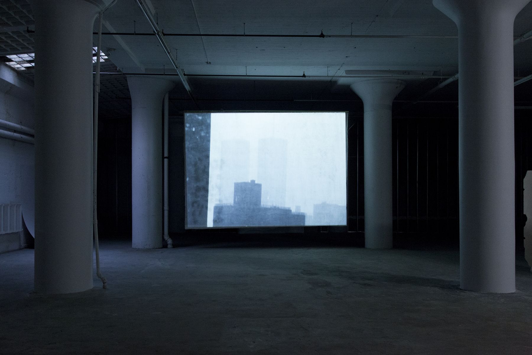Lutz Bacher, Installation view, Snow, Greene Naftali, New York, 2014