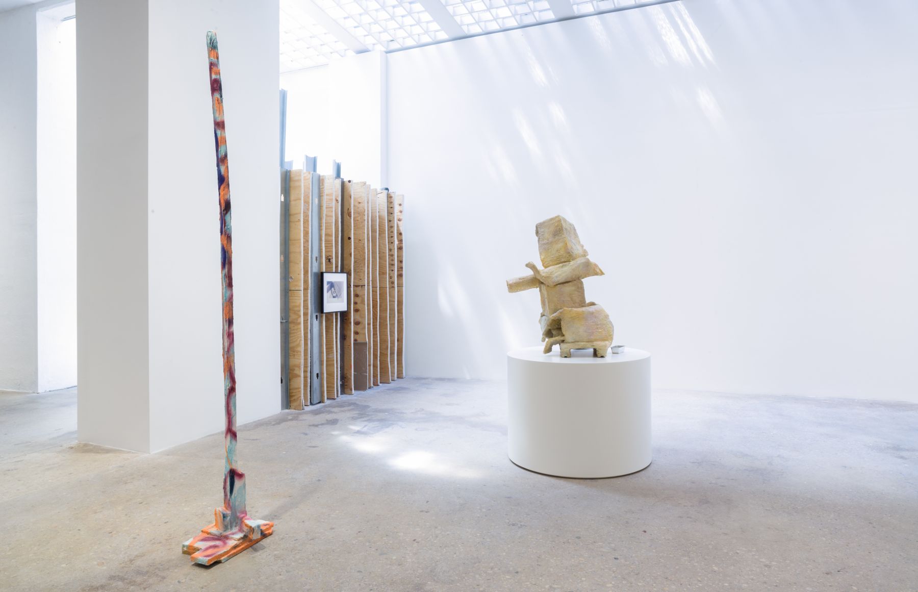 Rachel Harrison, Prasine, Greene Naftali, New York, 2017